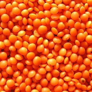 Red Lentils
